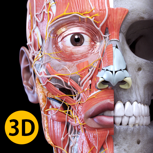 Anatomía - Atlas 3D Mod